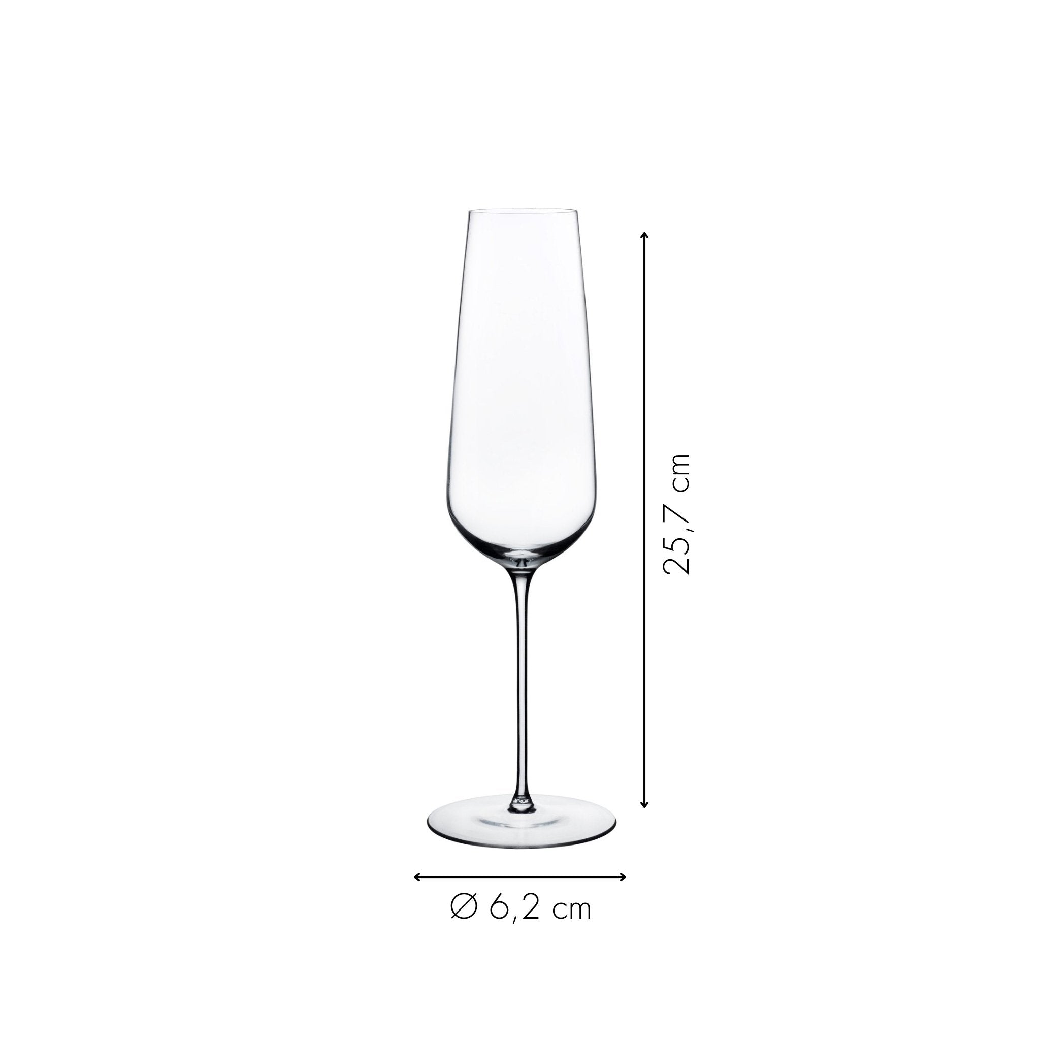 Sektglas von NUDE Durchmesser und Höhe in Zentimeter