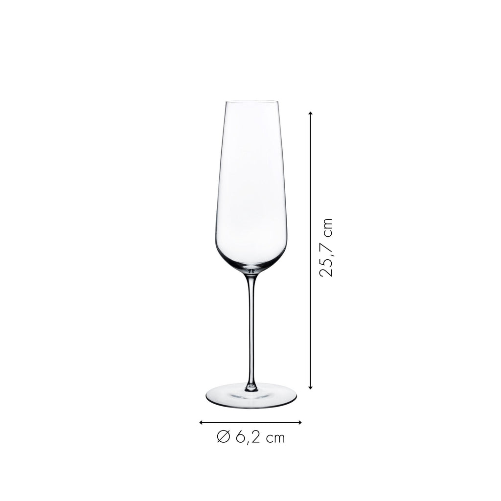 Sektglas von NUDE Durchmesser und Höhe in Zentimeter