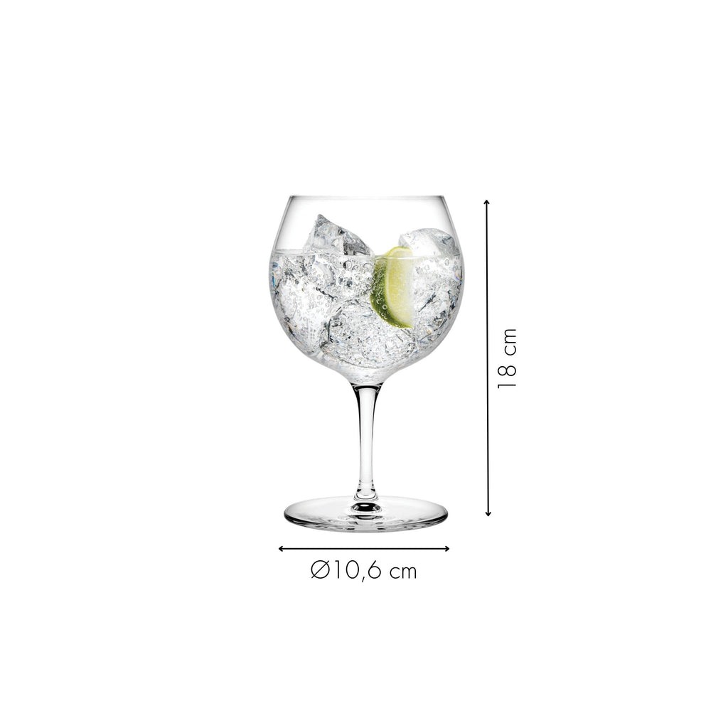 Gin Glas Durchmesser und Höhe in Centimeter